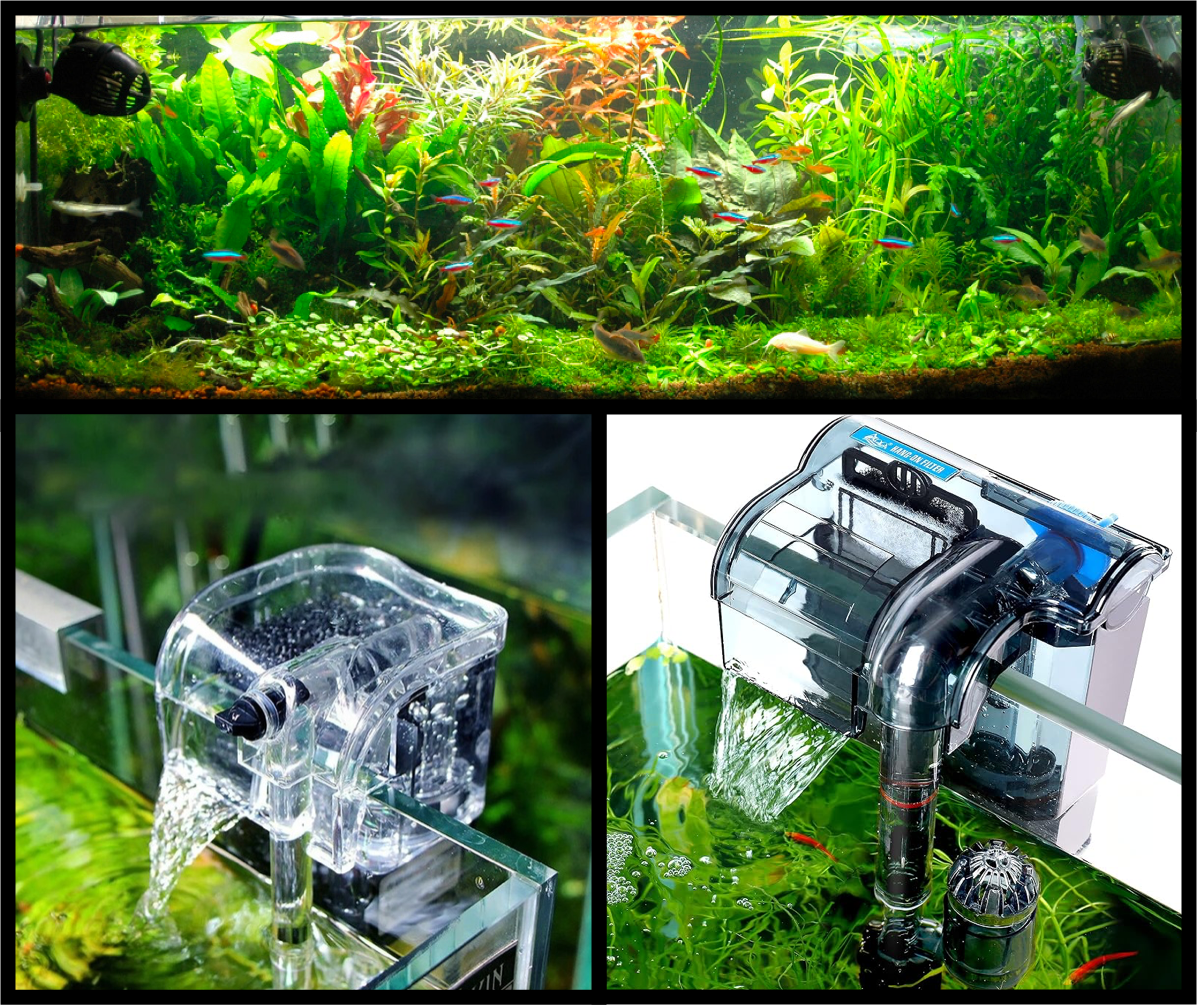 Freshwater Aquarium Filters: A Deep Dive